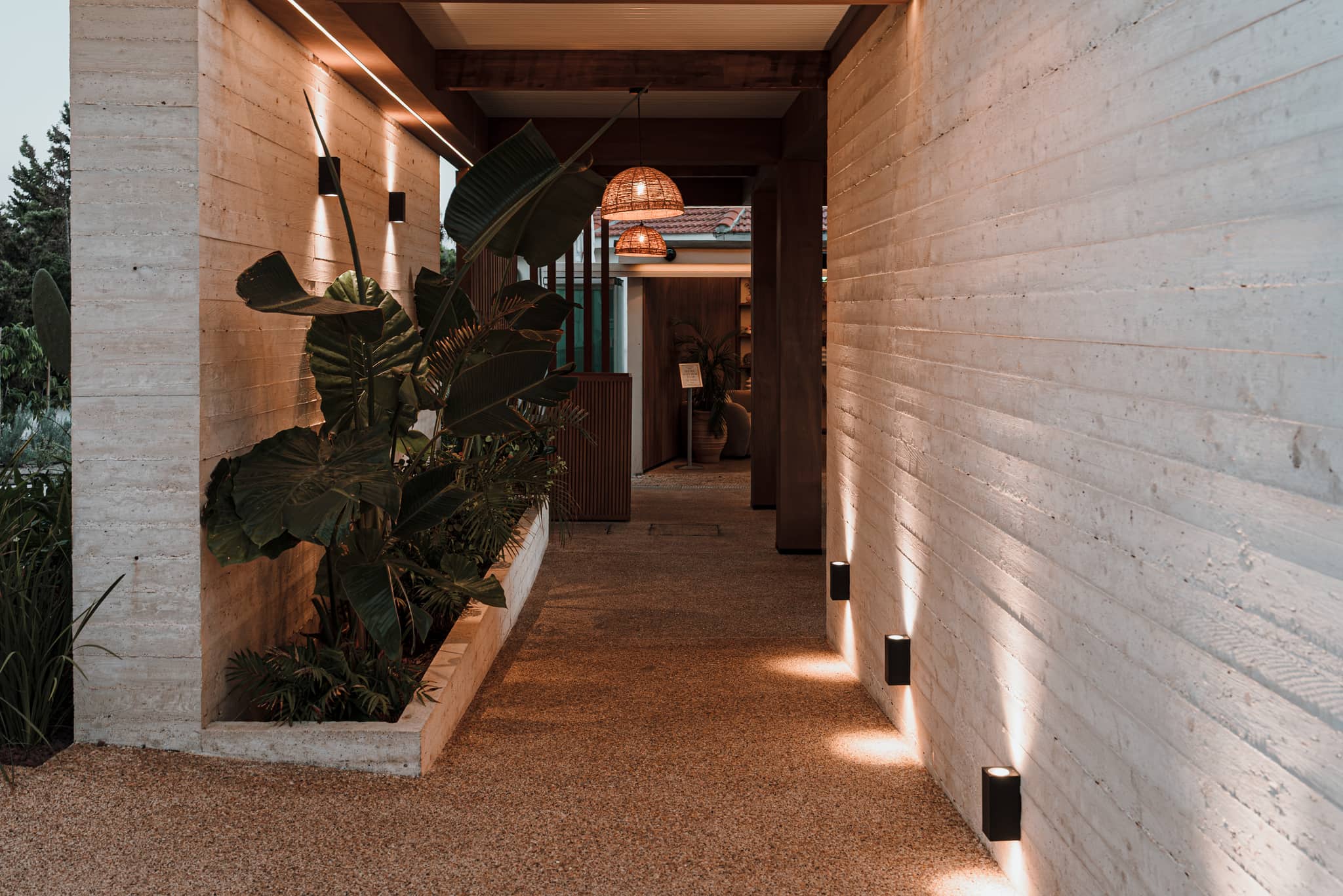 An interior corridor at dusk - board-formed concrete walls, uplighting sconces, a tall bird-of-paradise plant and rattan pendant lamps.