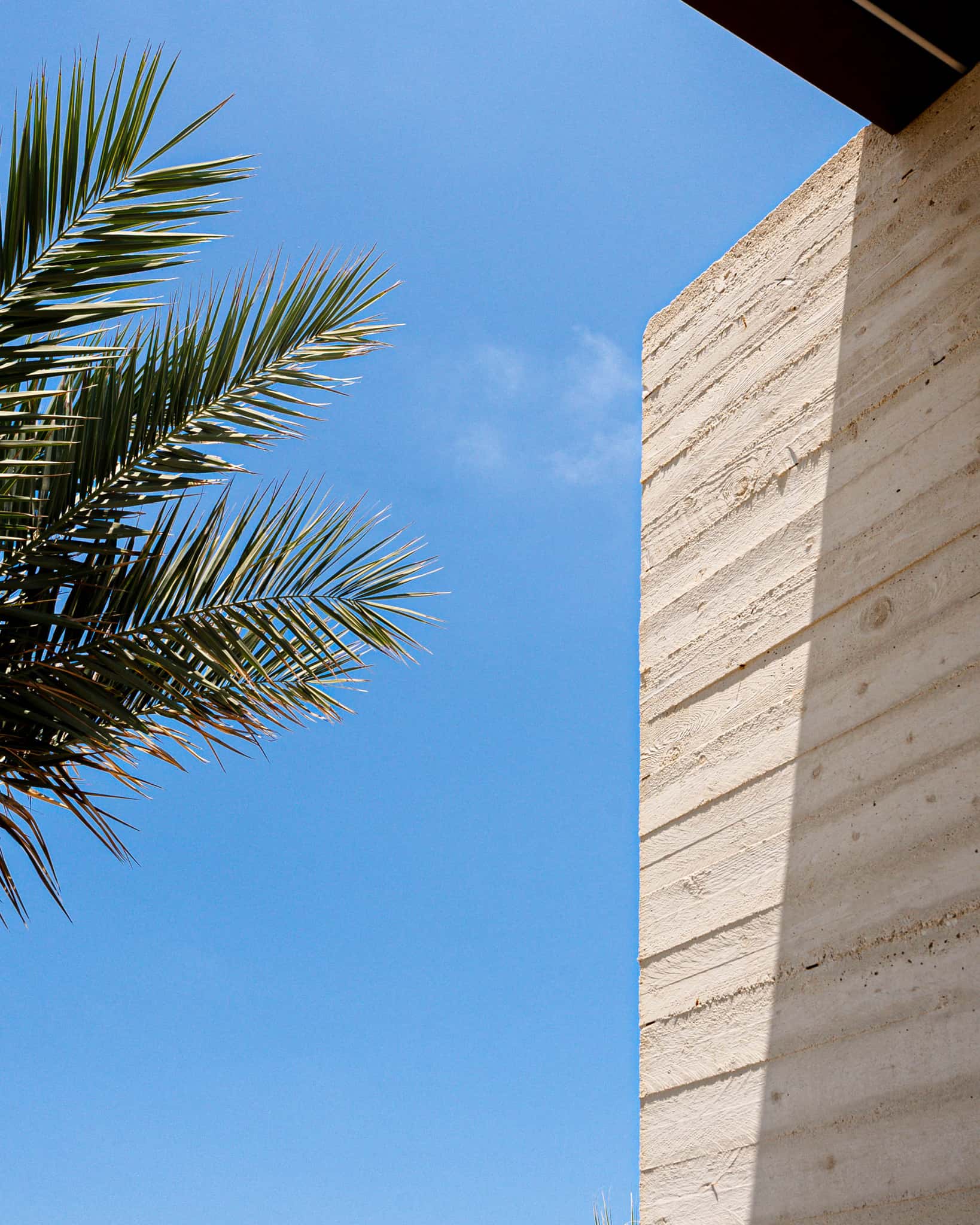 Palm fronds against a clear blue sky beside the corner of a board-formed travertine wall.